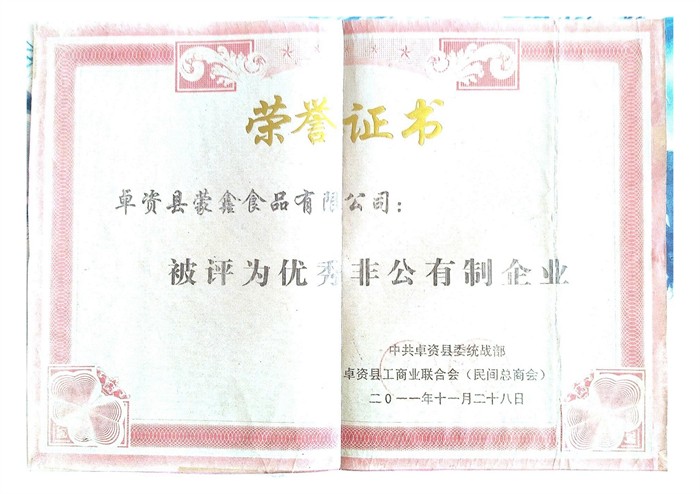 荣誉证书201101.jpg